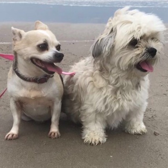 Meet your Posher, Cynthia - Picture 1 of 1